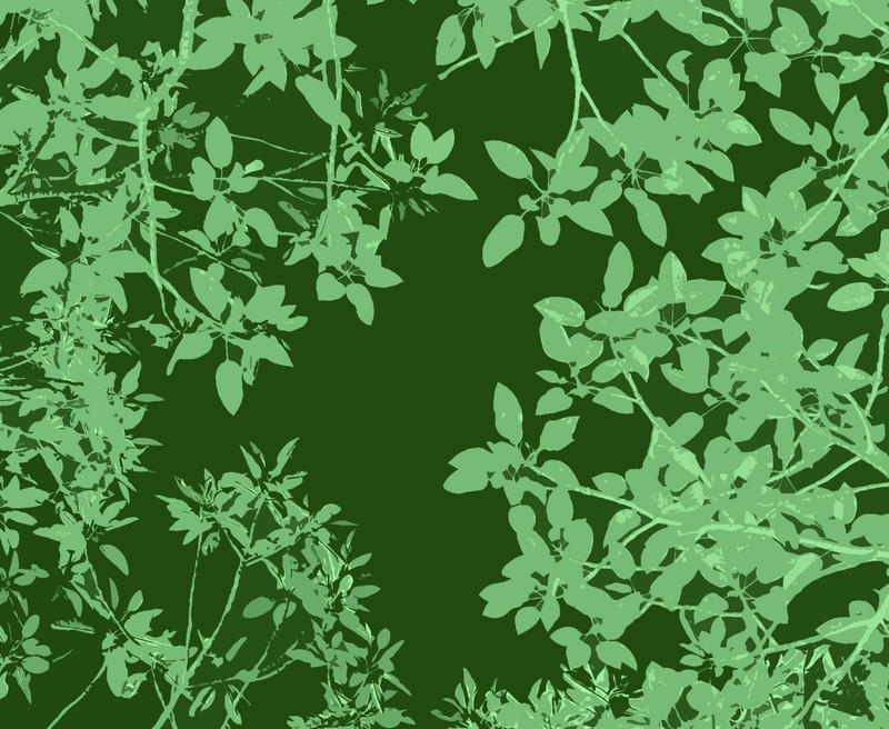 green illustration of a canopy of tree leaves