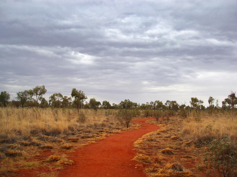 a bush walking track near uluru with a menacing looking sky contrasted against bright red orange soil