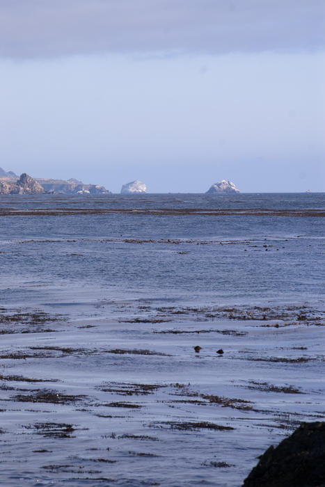 the california coast near big sur