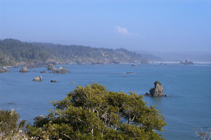 rugged seascape of the california north coast