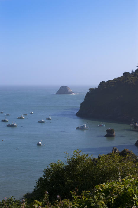 california north coast on a sunny summer day