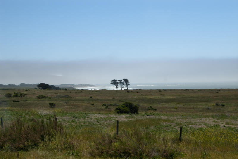 flat shoreline line on the pacific coast at san simeon