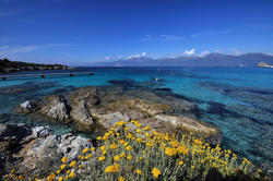 4415   Jetty Landing at Plage du Loto, Corsica