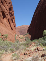 4104-kata tjuta