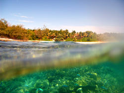 6311   Above and below tropical island view