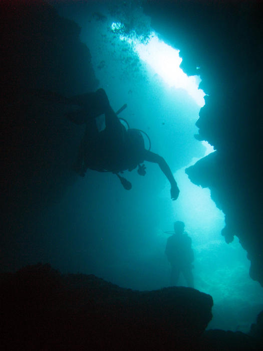 Scuba divers in an underwater cave exploring the reef and looking for fan corals enjoying their summer vacation