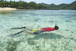 6299   Man snorkeling in clear blue water