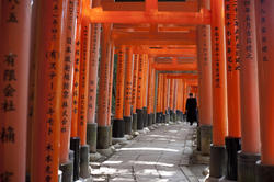 6056   torii gate path