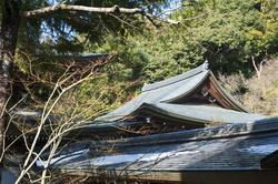 6077   Ryoan ji Roof