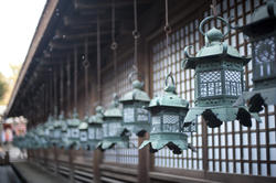 6074   Kasuga taisha metal lanterns