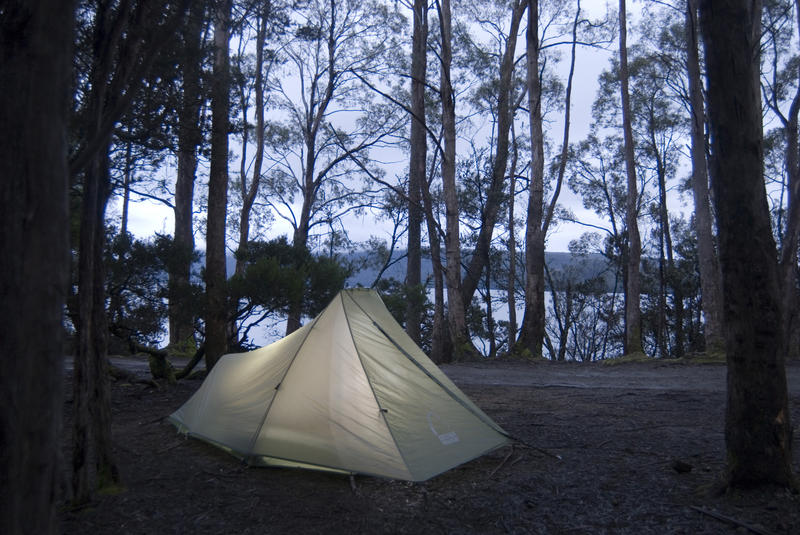 camping in the woods by the side of lake st clair, tasmania