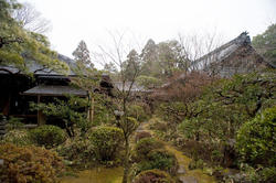 6079   japanese temple gardens