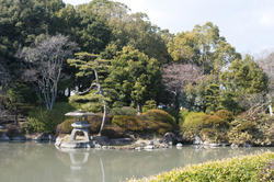 6026   Formal Japnese Garden