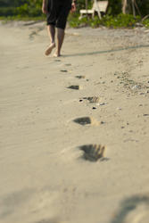 6322   Person walking away across a beach