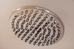 6909   Stainless steel shower head