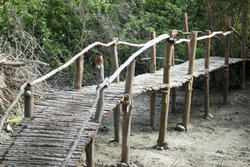 6323   Rustic wooden pedestrian bridge