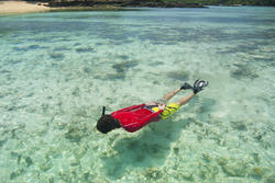 6302   Man snorkeling in shallow water