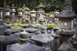 6112   Kasuga Taisha Lanterns