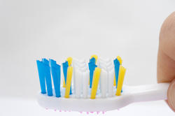 6913   Closeup of a toothbrush head