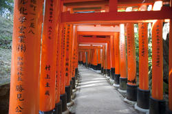 6138   Torii gate Tunnel