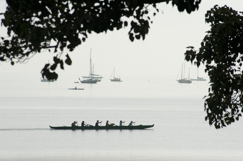 Silhouette Profile of Six Person Canoeing Team Paddling in Long Canoe Along Shoreline of Lake with Sailboats in Background