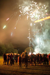 8878   Crowds watching a fireworks display