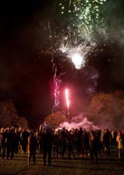 8879   Crowd watching a colorful pink fireworks display