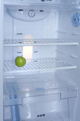 8219   Interior of a fridge with a green apple