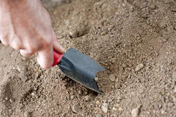 9852   Man preparing a seedbed in the garden