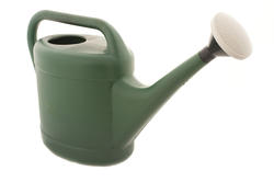 9867   Green plastic watering can