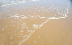 12663   wave on smooth sandy beach