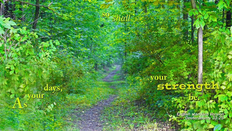 <p>A narrow path through a forest with sunlight in the trees</p>
A narrow path through a forest with sunlight in the trees