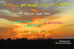 17998   Let's Not Get Tired of Doing Good