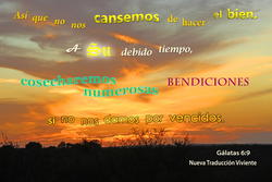 17997   Hacer El Bien