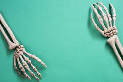 18021   halloween skeleton flat lay