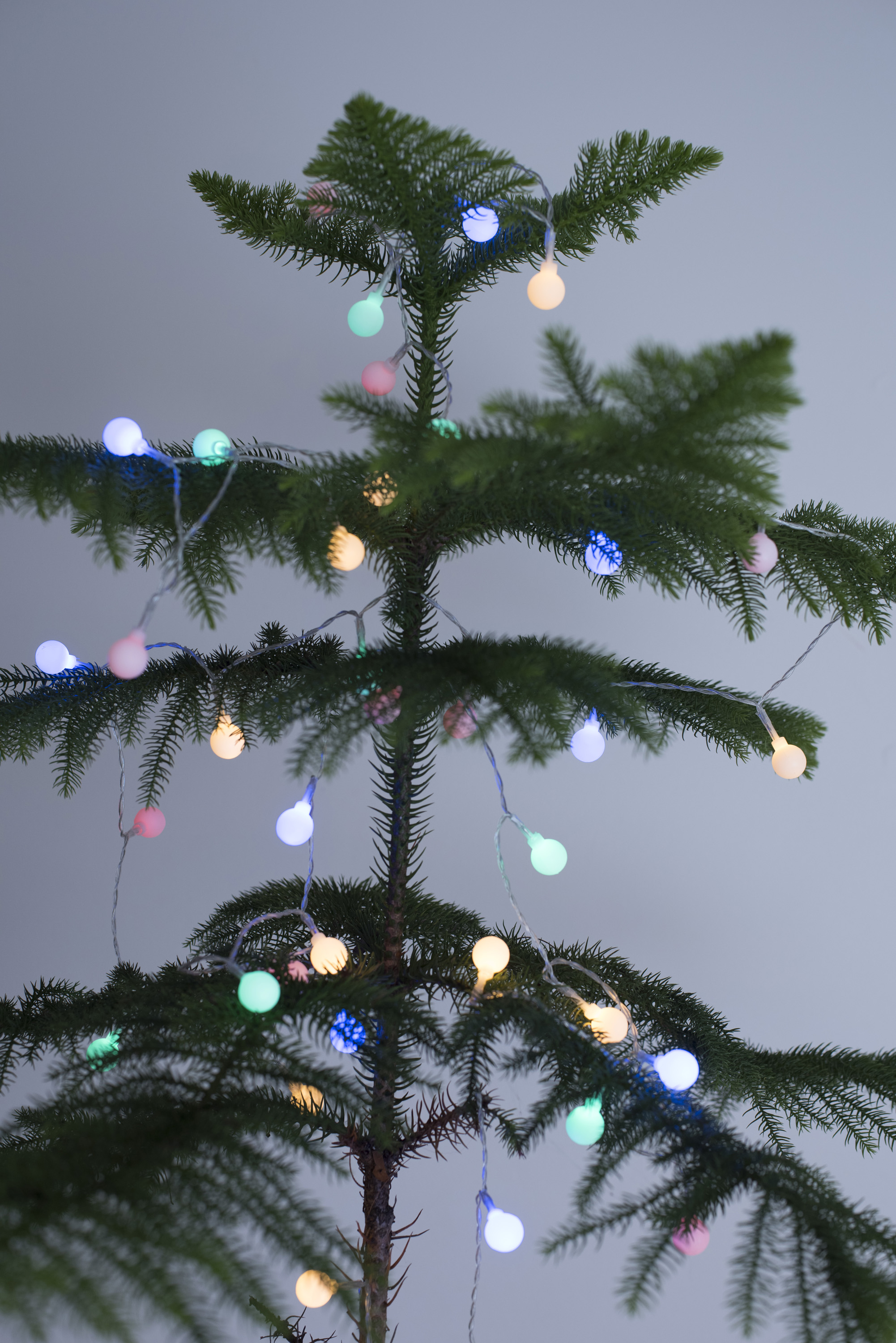 round christmas tree lights