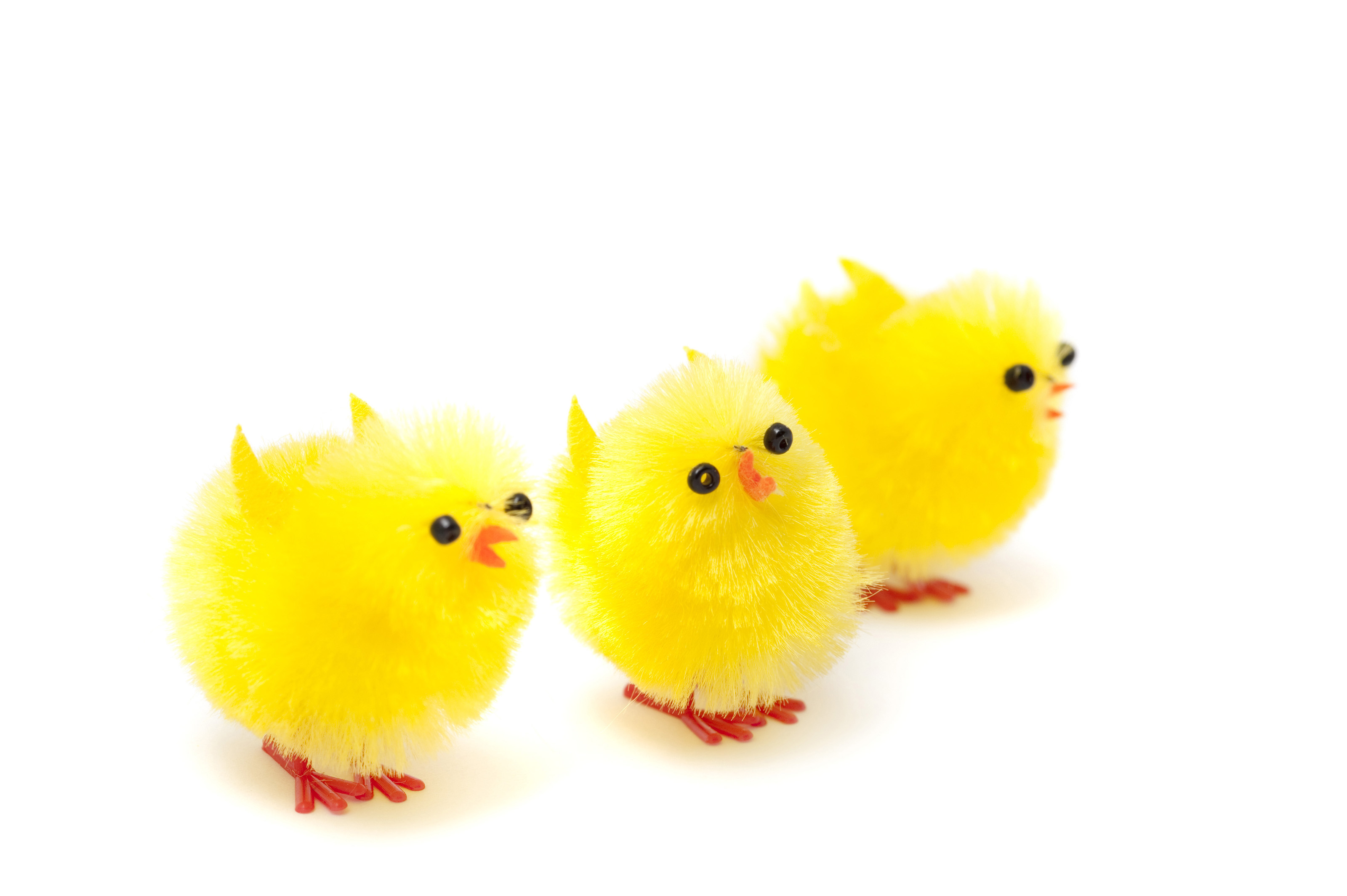 easter chick toy