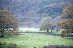 9978   Beautiful pastoral English landscape