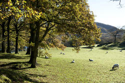 9979   Scenic landscape in the English Lake District