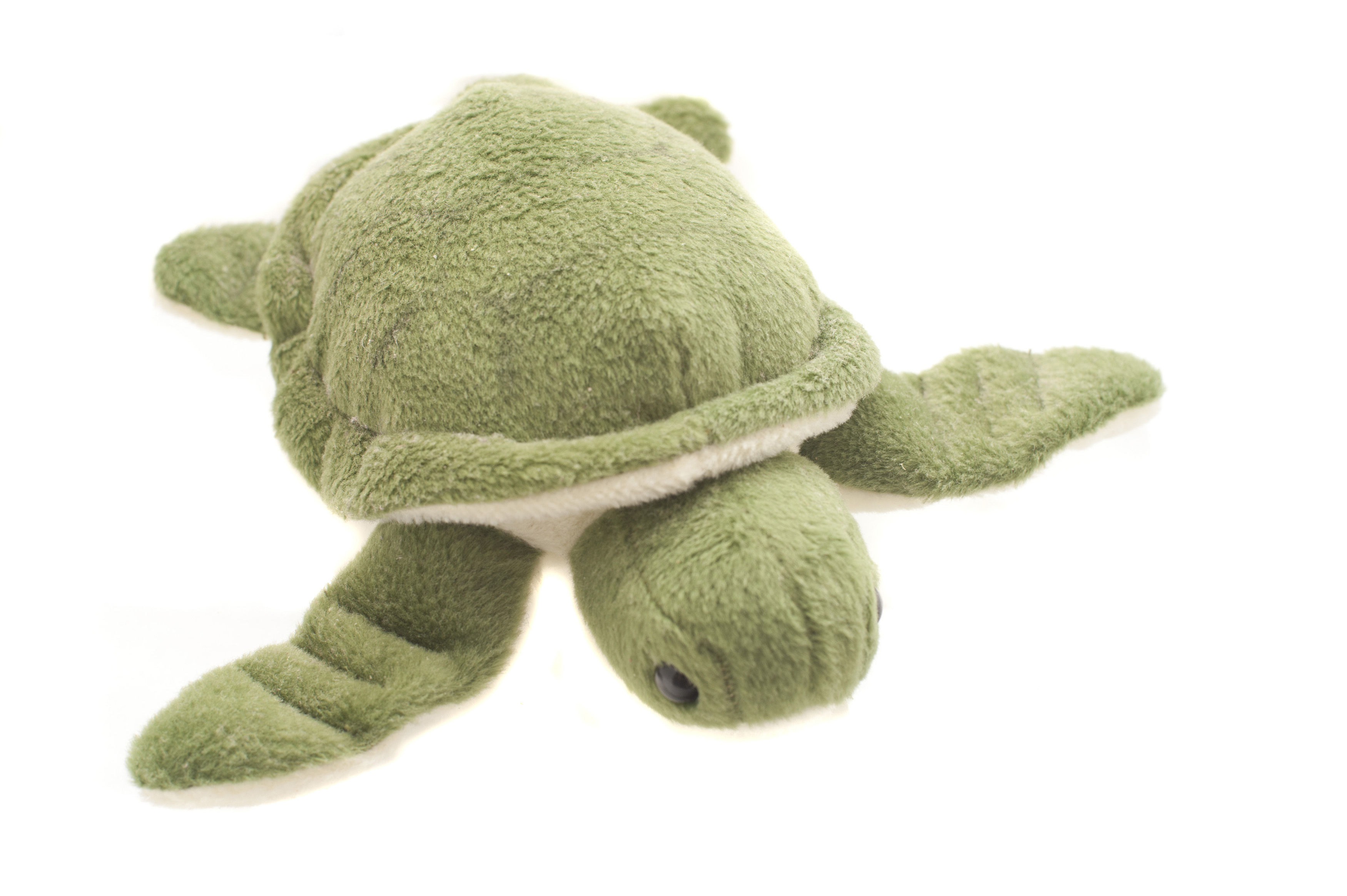 Free Stock Photo 11958 Cute green plush turtle toy