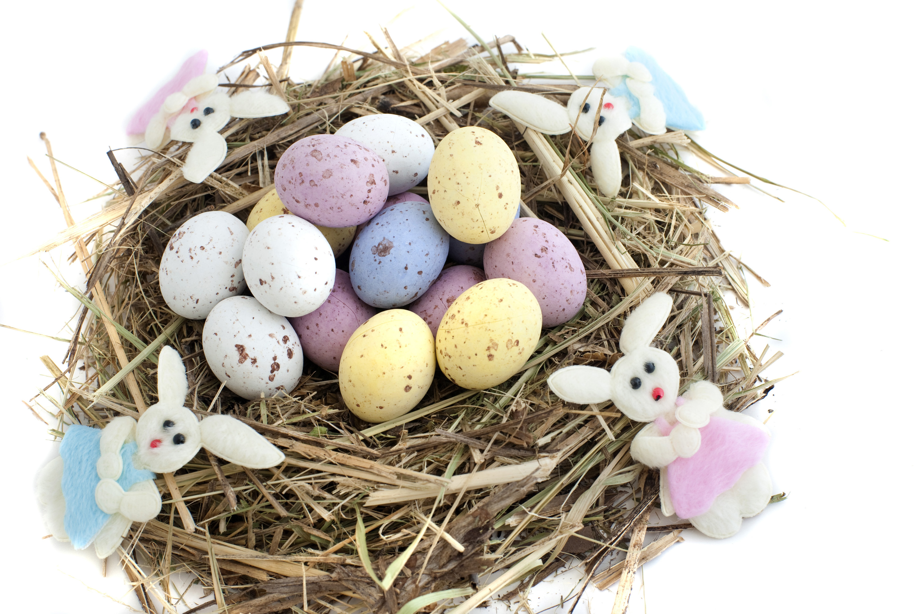 Easter Eggs on Straw Free Stock Photo